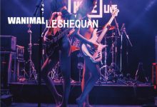 王动WANIMAL官方出品2018年4月VIP视图作品集之奔放狂野的爱 – 1V-美图岛