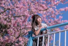 萌芽儿 -  异木棉花 [27P-436MB]-美图岛