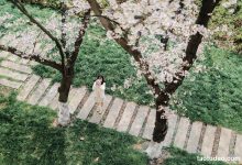 [YITUYU艺图语]2023.04.18 樱花教室 萌伊伊[32+1P／368MB]-美图岛