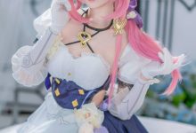 大大卷卷小卷 –  崩坏3 爱莉希雅女仆 [29P-169MB]-美图岛