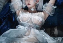 Natsuko夏夏子 –  灰姑娘水晶公主Cinderella（NIKKE The Goddess of Victory）[97P-394M]-美图岛